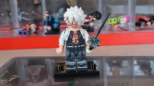 Demon slayer shinazugawa - demon,